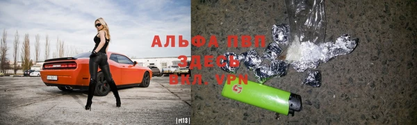 гашик Алексин