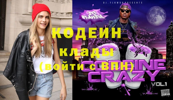 гашик Алексин