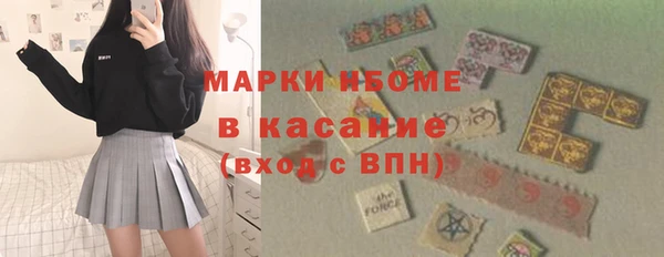 гашик Алексин