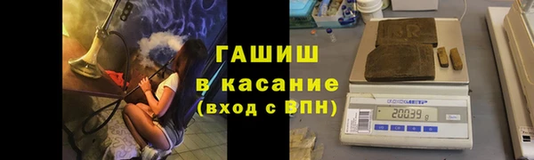 гашик Алексин