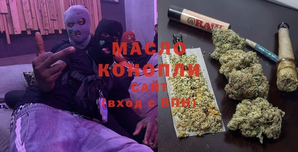гашик Алексин