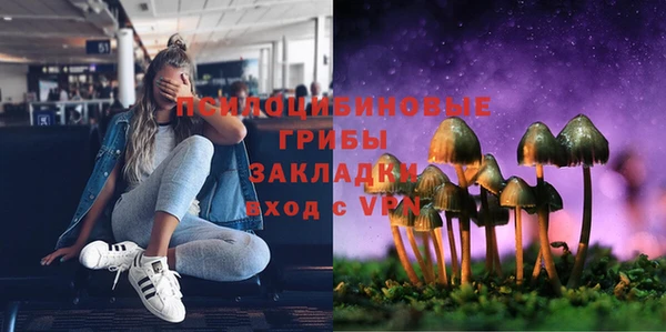 а пвп мука Алзамай